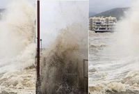 হারিকেন বেরিল প্রবল শক্তি নিয়ে আছড়ে পড়ল