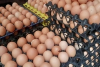 রাজধানীর-বাজারে-আজ-প্রতি-ডজন-ফার্মের-ডিমের-দাম-কত-হলো-জানেন-