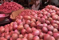 পাল্টে-গেল-পেঁয়াজের-বাজার-এবার-কেজি-কত-হলো-জানেন-