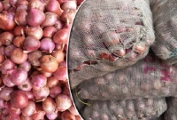 হঠাৎ-দাম-বেড়ে-রাজধানীতে-পেঁয়াজের-কেজি-কত-হলো-জানেন-