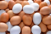 আজ-হঠাৎ-বিপরীত-চিত্র-দেখা-গেল-ফার্মের-মুরগির-ডিমের-বাজারে