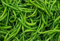 জানেন-হঠাৎ-ঝিনাইদহে-কাঁচা-মরিচের-কেজি-কত-হলো-