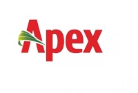 চাকরি দিচ্ছে অ্যাপেক্সে, আবেদন ২৫ জুলাই থেকেই শুরু