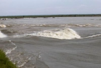 কাপাসিয়ায় পানিতে ডুবে দুই বন্ধু নিহত