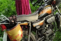 আখ খেতে ঘটে এ ঘটনা, নারীর চিৎকারে....