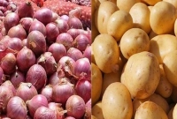 জানেন কী ক্ষতি হয় আলু-পেঁয়াজ একসঙ্গে রাখলে 