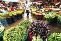 লাফিয়ে-লাফিয়ে-বাড়ছে-বেগুন-টমেটো-ও-শসার-দাম