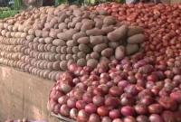 এবার-এক-লাফে-কেজিতে-যত-কমলো-পেঁয়াজের-দাম