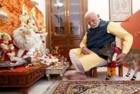 সদ্যই জন্ম নেওয়া বাছুরের সঙ্গে খেলাধুলায় মেতেছেন নরেন্দ্র মোদি!