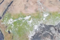 বিশাল এলাকাজুড়ে সবুজ হয়ে উঠছে সাহারা মরুভূমি!