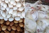 এবার-উল্টো-চিত্র-ডিমের-বাজারে