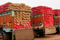 কাঁদছে-ভারতের-পেঁয়াজ-চাষীরা-কিনছে-না-বাংলাদেশ-মুখ-ফিরিয়ে-নিয়েছে-সৌদিও