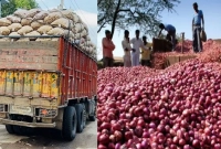 পেঁয়াজের-দামে-বড়-পতন-দাম-নেমে-এলো-অর্ধেকে-