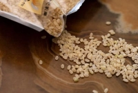 এটি বিশ্বের সবচেয়ে দামি চাল, কেজি কত জানেন?