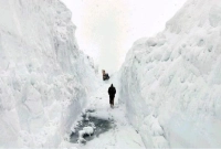 ১০২ জন আরোহী নিয়ে বিমান বিধ্বস্ত, চারজনকে উদ্ধার ৫৬ বছর পর!