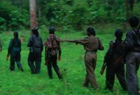 নারায়ণপুর-দান্তেওয়াড়া সীমান্তে সম্মুখ গোলাগুলি, নিহত ৩৬