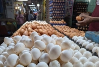 পুষ্টিগুণ-বেশি-কোনটির-সাদা-নাকি-লাল-ডিমের-