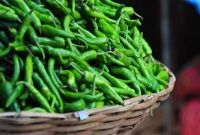 খবর ছড়িয়ে পড়ায় মুহূর্তেই ৪০০ টাকার কাঁচা মরিচ ১৮০ টাকা!