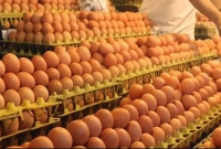 আজ-ময়মনসিংহে-হঠাৎ-ডিমের-হালি-কত-হয়েছে-জানেন-