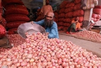 আমদানি-ও-বাজারে-নতুন-জাতের-পেঁয়াজ-আজ-কত-কেজি-হলো-জানেন-