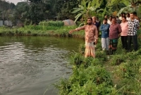 পুকুর থেকে মাছ চুরি করে কোটিপতি!    