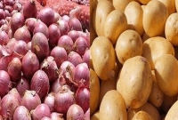 বাংলাদেশে পেঁয়াজ ও আলু রফতানি বন্ধ হওয়ায় পশ্চিমবঙ্গের কৃষকদের দুর্দশা চরমে