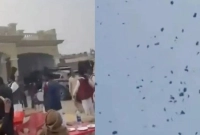 বিমান ভাড়া করে হবু স্ত্রীর বাড়িতে টাকার বৃষ্টি!