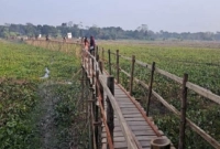 গ্রামের মানুষকে কাঠের সেতু উপহার দিলেন প্রবাসীরা গ্রামের মানুষকে কাঠের সেতু উপহার দিলেন প্রবাসীরা