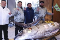 ১৬ কোটিতে বিক্রি হলো একটি মাছ!