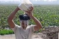 প্রেমিকাকে না পেয়ে মাজারে গিয়ে দুধ দিয়ে গোসল