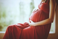 অভিনব কায়দায় প্রতারণার ফাঁদ! সাবধান হতে জানুন