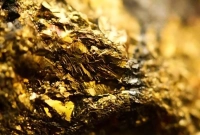 ১২৫ কিলোমিটারজুড়ে বিস্তৃত বিশাল স্বর্ণের খনির সন্ধান