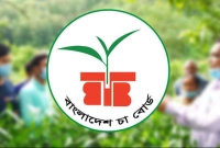 বিশাল নিয়োগ বিজ্ঞপ্তি প্রকাশ করল বাংলাদেশ চা বোর্ড