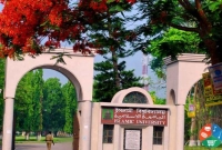 নিয়োগ বিজ্ঞপ্তি প্রকাশ করেছে কুষ্টিয়ার ইসলামী বিশ্ববিদ্যালয়