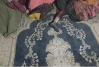 এক গর্ভবতী নারীসহ একই পরিবারের ১০ সদস্যকে গুলি করে হত্যা