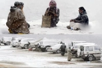 তীব্র শীতে নাকাল সৌদি আরব, গাছপালার ওপরও বরফ জমছে!