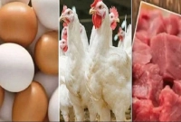 এবার-এত-সস্তায়-বিক্রি-হবে-গরুর-মাংস