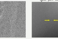 ছবি প্রকাশ এবারের রমজানের চাঁদের 