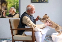 সিংহের সঙ্গে খেলা করলেন মোদি, দুধ খাওয়ালেন শাবককে