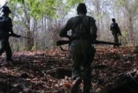 দুই পক্ষের মধ্যে বন্দুকযুদ্ধ, ২২ জনের মৃত্যু