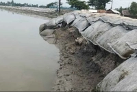 ভাঙন ভয়াবহ আকার ধারণ, যে কোনো মুহূর্তে সম্পূর্ণ বাঁধ ধসে গোটা ইউনিয়ন প্লাবিত হওয়ার শঙ্কা