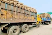 এবার-প্রথমবারের-মতো-যে-দেশে-আলু-রপ্তানি-হলো-বাংলাদেশ-থেকে