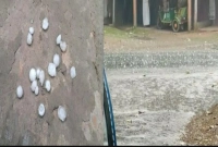 বৃষ্টি-নিয়ে-নতুন-পূর্বাভাস