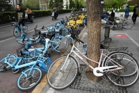 সতর্ক করা হয়েছে ঘরের বাইরে না যেতে, শত শত ফ্লাইট বাতিল ও রেল চলাচল স্থগিত