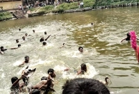 নববর্ষে ভিন্ন আয়োজন, ১০ হাঁস ধরতে ৪০ প্রতিযোগী