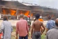 চোখের-সামনে-আগুনে-পুড়ে-ছাই-৪৪-হাজার-মুরগি-ক্ষতি-২০-কোটি-টাকা-