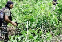 মাওবাদীদের সঙ্গে ভারতীয় সেনাবাহিনীর ভয়াবহ সংঘর্ষ, ৮ জনের মৃত্যু