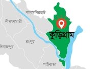 শিয়াল-মারতে-গিয়ে-প্রাণ-দিলেন-বৃদ্ধা-নিজেই