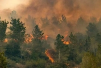 ইসরায়েলে আজ আবারও নতুন করে দাবানলের সৃষ্টি!
