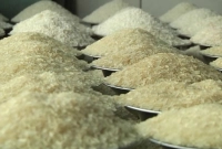 খুলনায় হঠাৎ চালের কেজি কত হলো জানেন?